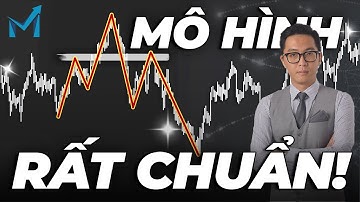 QUASIMODO Toàn Tập!! Mô Hình Chuyên Dùng Để Bắt Đỉnh Bắt Đáy - mInvest Chiến Thuật