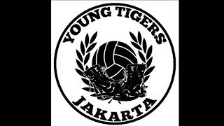 YOUNG TIGERS - BANGKIT DAN JUARA