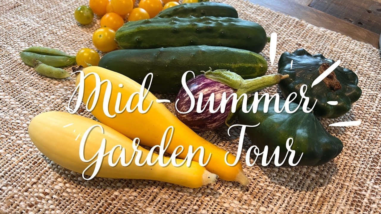 MidSummer Backyard Garden Tour Celebrating with Friends YouTube