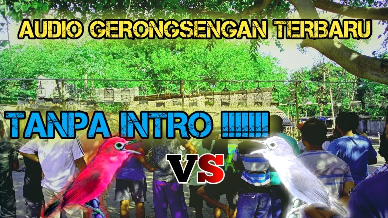 Audio gerongsengan lomba kecial kuning terbaru