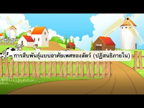 การสืบพันธุ์แบบอาศัยเพศของสัตว์-การปฏิสนธิภายใน