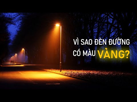 Video: Cây và Đèn đường: Tác dụng của việc trồng gần đèn đường