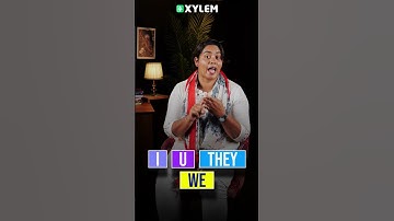 ഒരു ചോദ്യം പഠിച്ചാലോ? | Xylem Class 6