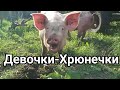 Девочки-Хрюнечки на прогулке