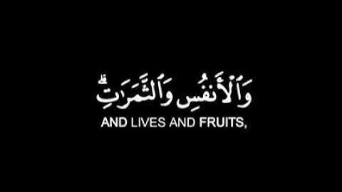 كروما شاشه سوداء قرآن كريم تلاوة من سورة البقرة القارئ طارق محمد  _____