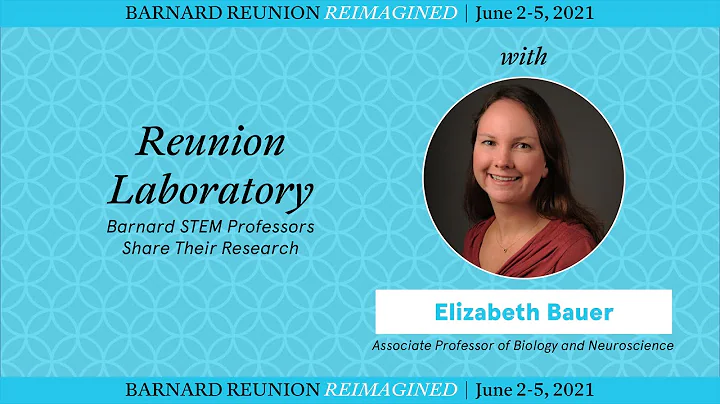 Reunion Laboratory: Professor Elizabeth Bauer
