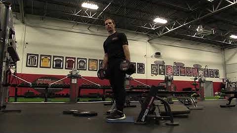 2 DB RFE Split Squat