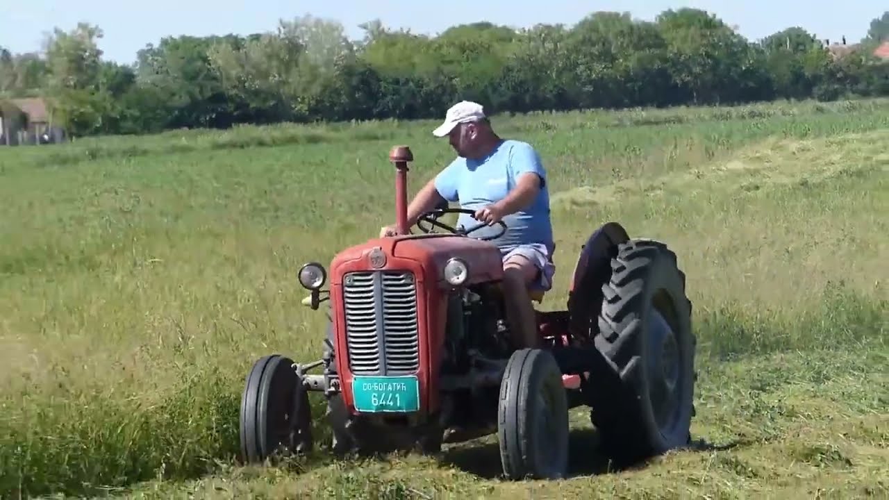 Kako zasaditi travnjak od deteline i zašto je to popularno danas
