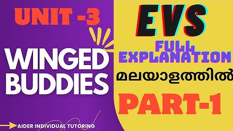  Std4 EVS  Unit 3 Winged Buddies explanation in malayalam 2025./Class 4 EVS unit 3 winged Buddies 