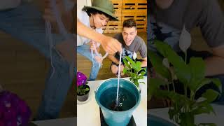 Poniendo A Prueba Un Riego Por Goteo Con Mi Amigo Pongamosloapruebacortos1