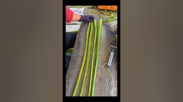 Vegetables peeling and cutting #shorts