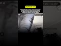 This curious Cat got caught in the home camera"" #motivation #inspiration #sucesso