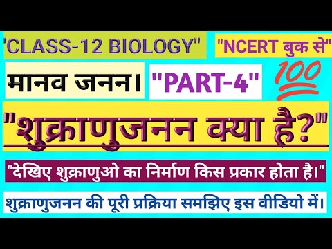 मानव जनन(Part-4)! शुक्राणुजनन क्या है(shukranu Janan)? What is spermiogenesis!!class 12 biology