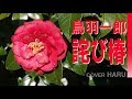 「詫び椿」鳥羽一郎 cover HARU