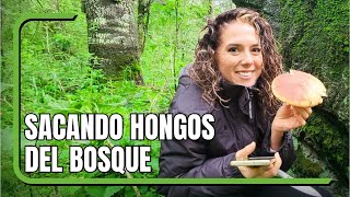 SAQUÉ HONGOS Y LOS COCINÉ EN EL BOSQUE/MARISOLPINK by Marisolpink 31,918 views 8 months ago 42 minutes