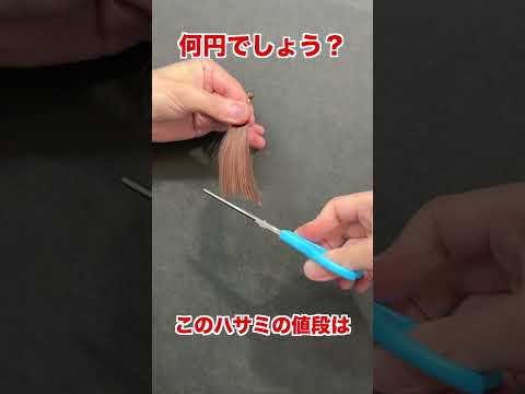 このハサミ何円か分かる？ #ヘアカット #セニング #美容師 #美容室