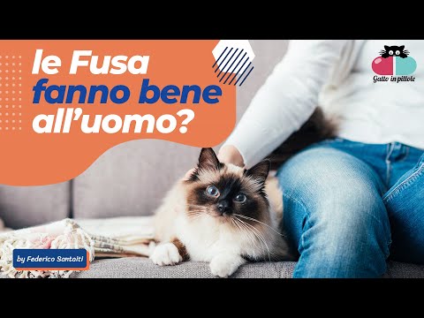 Video: Il potere curativo di un gatto fa le fusa