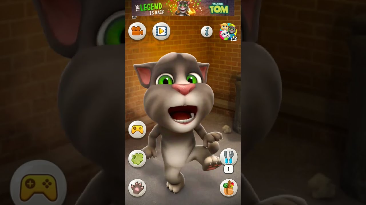 Talking Tom Cat Shorts