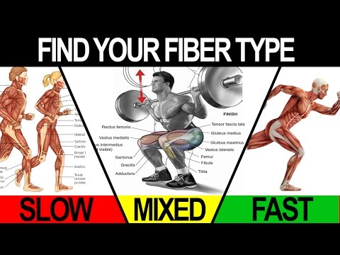 gym-workouts-to-build-muscle-(train-to-maximize-your-fiber-type!)