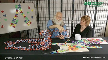 DNA Day - Dynamic DNA Kit