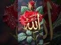 Hajrat Muhammad sallallahu alaihi wasallam ka bachapan ka waqua #duet #islamicvideo #allah 💗💗💗✨✨