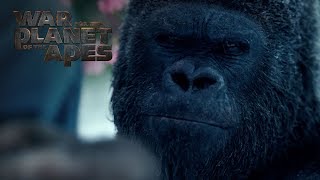 War for the Planet of the Apes | Now On Blu-ray | 20th Century FOX