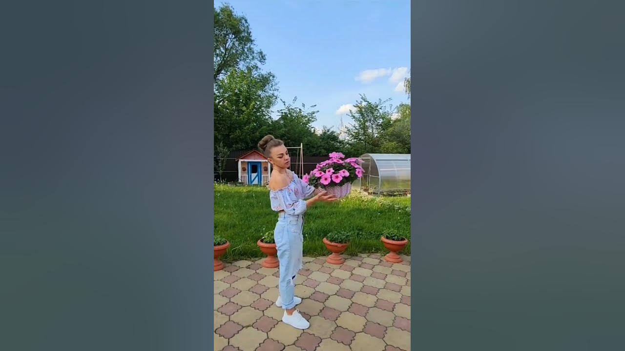 Петуния Пинк Пейшн в кашпо из ротанга #петунии #петуния #садоводство # ...