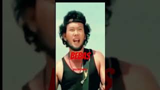 RHOMA IRAMA, BEBAS, STF MENGGAPAI MATAHARI