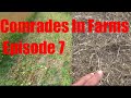 September 29th 2020 Comrades In Farms TFRLIVE.com Episode #7