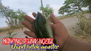 Spot lingi lingi sarangnya betok Monster by Raja gentakkk 78 views 1 year ago 5 minutes, 40 seconds