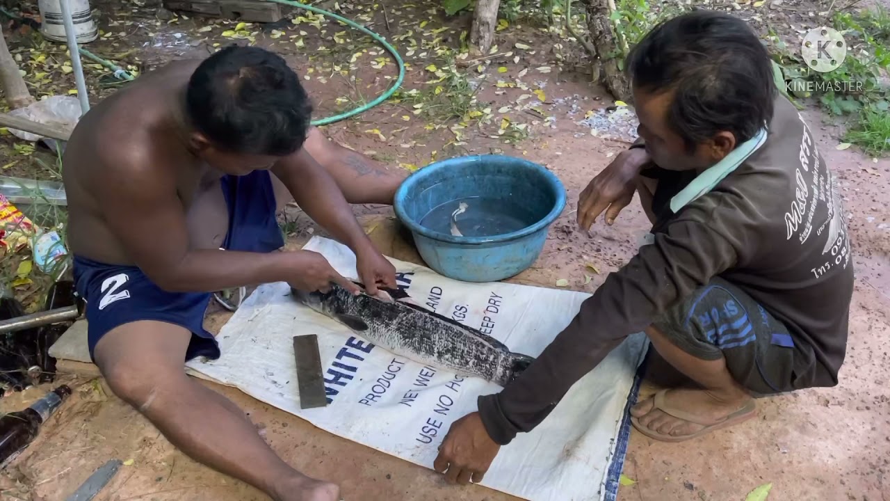 วิถีของคนอิสาน