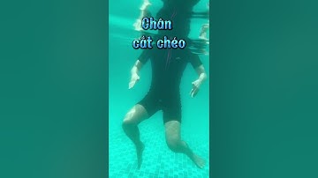 Hướng dẫn kỹ thuật ĐỨNG NƯỚC | Ánh Viên Swim Club