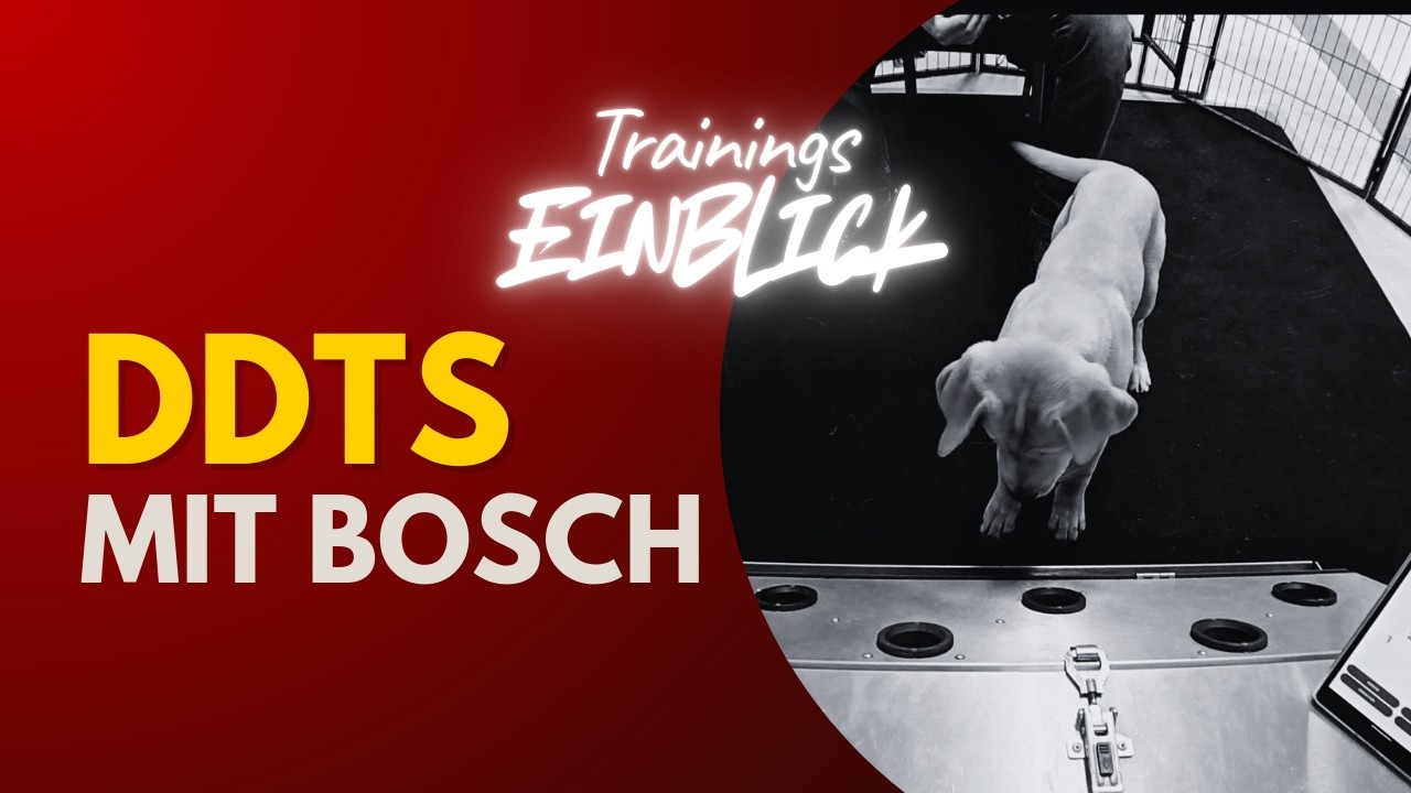 Unglaublicher Fortschritt: Boschs erster Tag am Detection Dock Training