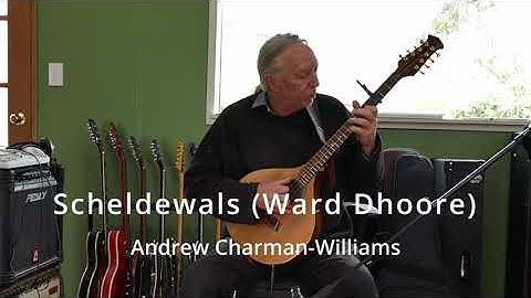 Scheldewals (Ward Dhoore) | finger style Irish bouzouki