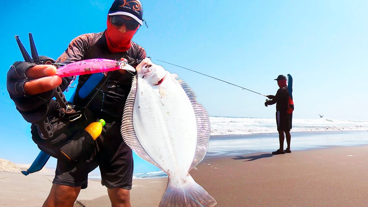 EL PESQUIN: La elección de las cañas para pescar desde las playas