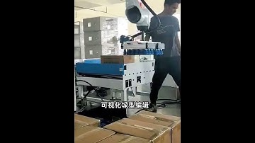 iNexBot Palletizer Presentation