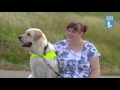 Guide and assistance dogs film - Services