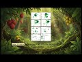 Orangutans  Forest s Gardeners