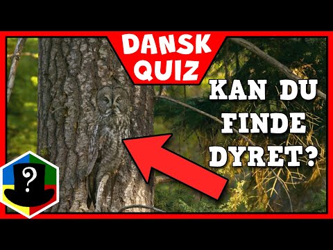 Video: Hvad betyder ordet dyrt?