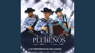 Video thumbnail of "Los Plebeños - Quisiera Ser Pajarillo"