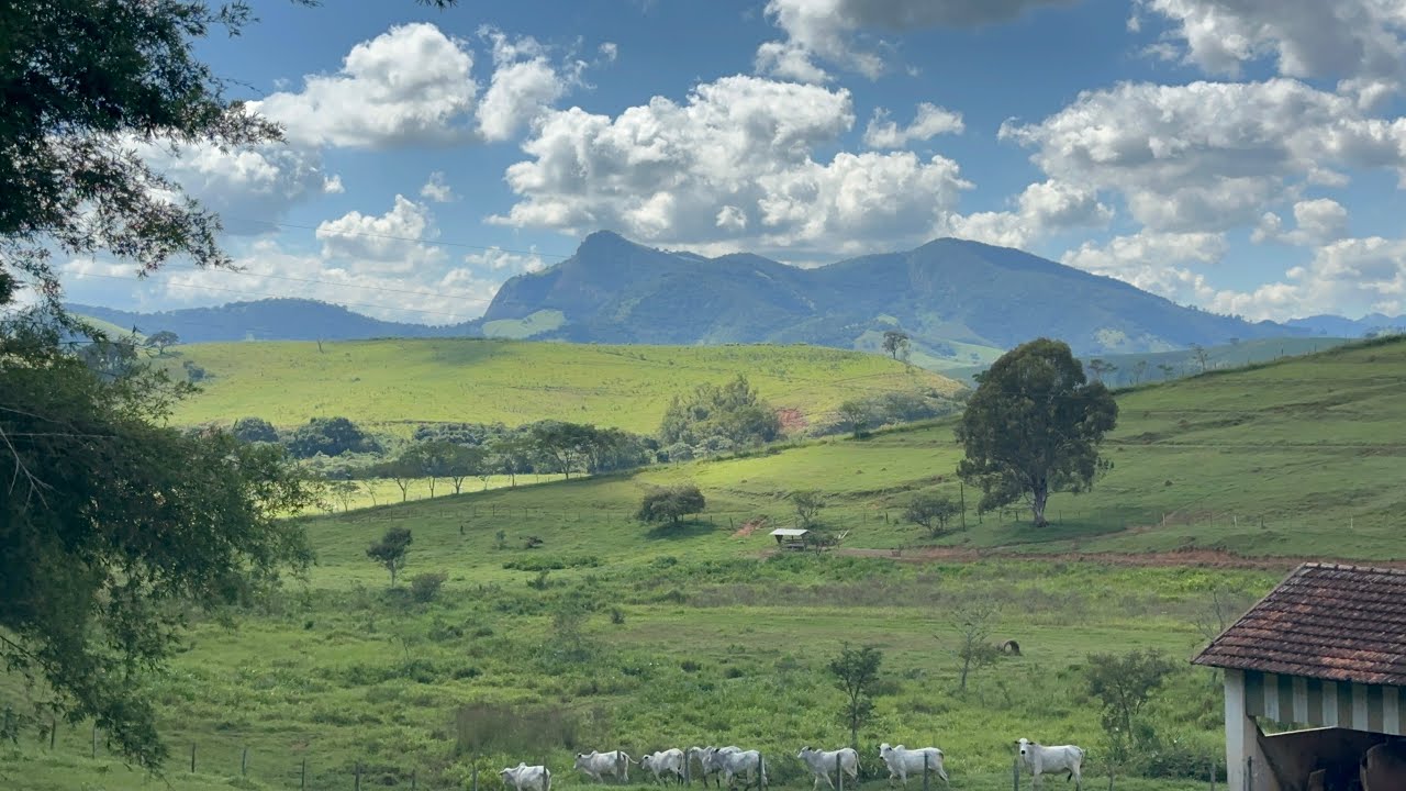 VENDIDA!!! Fazenda à Venda em Itajubá - MG, com 233 Hectares e Excelente Topografia!