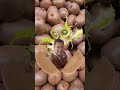 2022年11月7日キウイ #shorts #viralvideo#trending#fruits