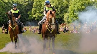 Politiepaarden  Demonstratie Paardenkamp Soest HD1080p