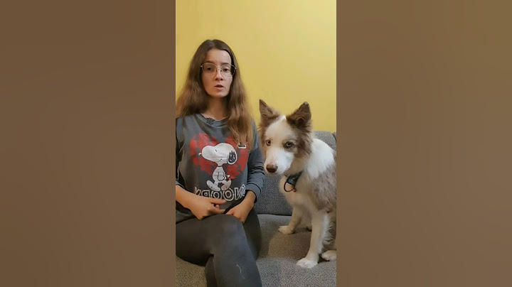 Słuchamy, nie oceniamy! #doglover #pies #dog #dogshorts