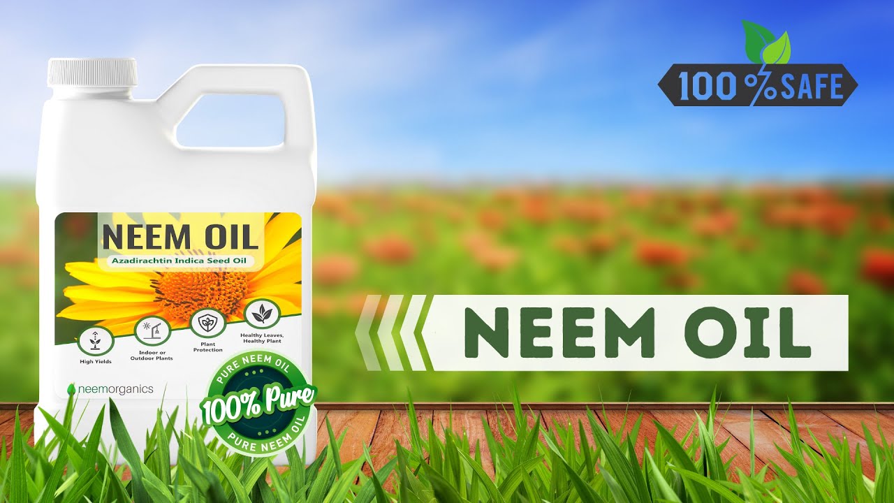 Neem Organics Pure Neem Oil Neem Oil Spray for Plants Spray for