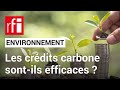 Environnement  les crdits carbone inutiles   rfi