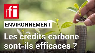 Environnement : les crédits carbone inutiles ? • RFI