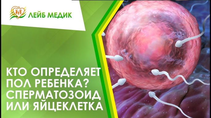 Поп жұлдыздарының жалған порносы Фотосуреттермен би және лесбияндық қарым-қатынас