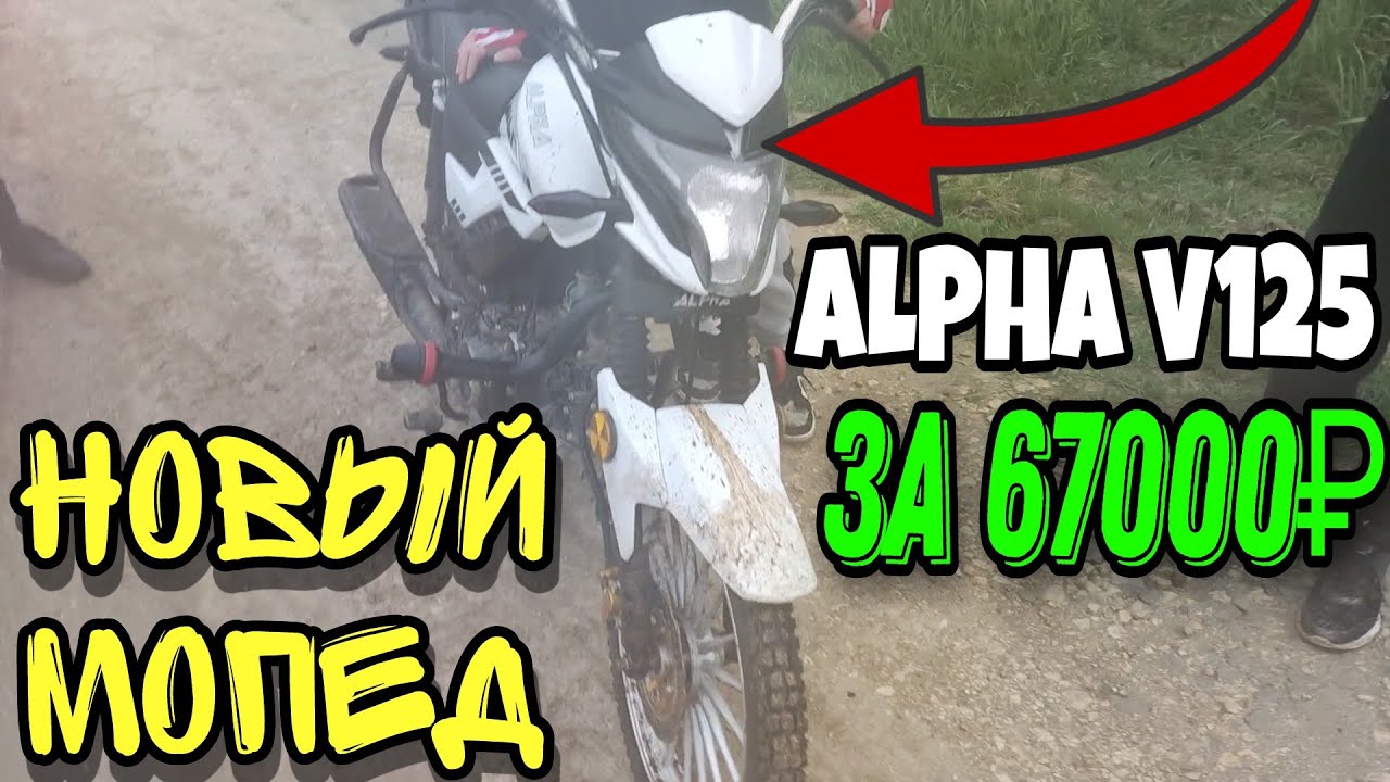 Альфа v125. Альфа 2023 мопед. Мопед Альфа в 125 2023. Альфа 2023 года мопед. Alpha v 125.