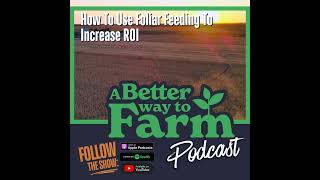 371: How To Use Foliar Feeding To Increase ROI